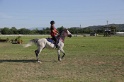 MAT_3496