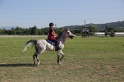 MAT_3497