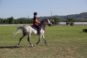 MAT_3498