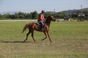 MAT_3547