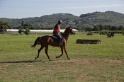 MAT_3554