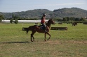MAT_3555