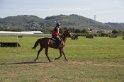 MAT_3557
