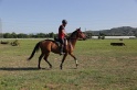 MAT_3568