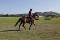MAT_3571