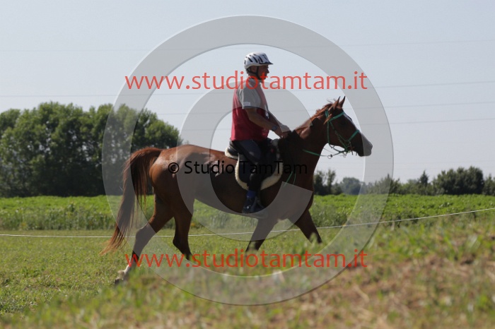 MAT_3879.JPG