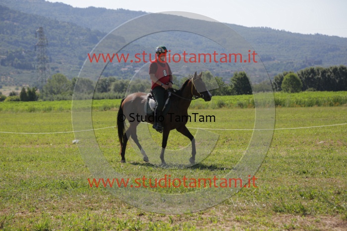 MAT_3899.JPG