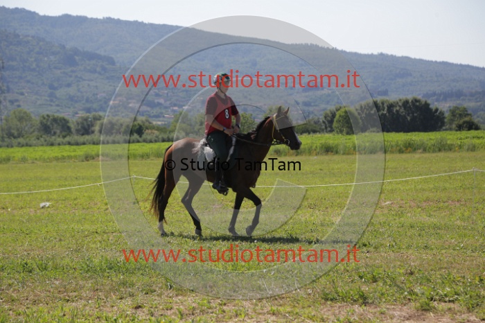 MAT_3901.JPG