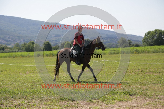 MAT_3902.JPG