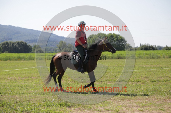 MAT_3904.JPG