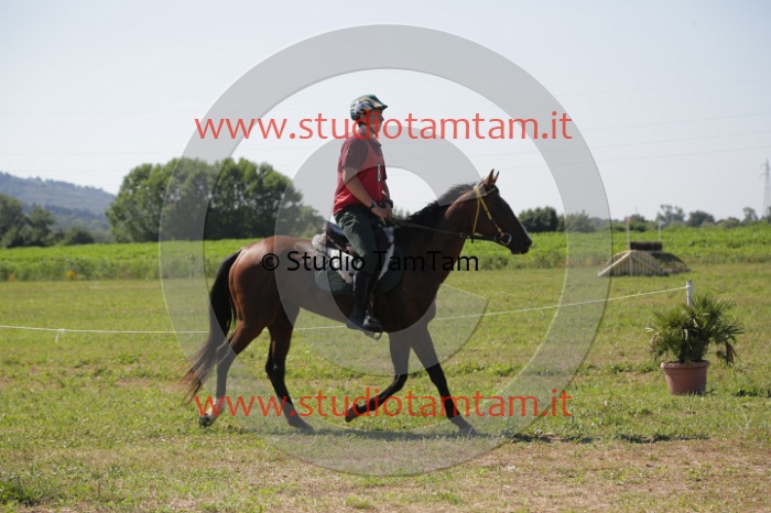 MAT_3905.JPG