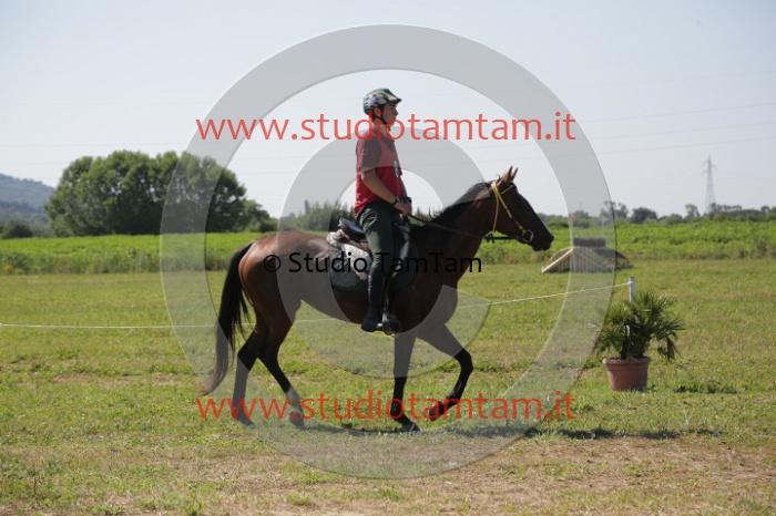 MAT_3906.JPG