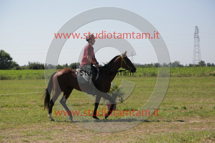 MAT_3907.JPG