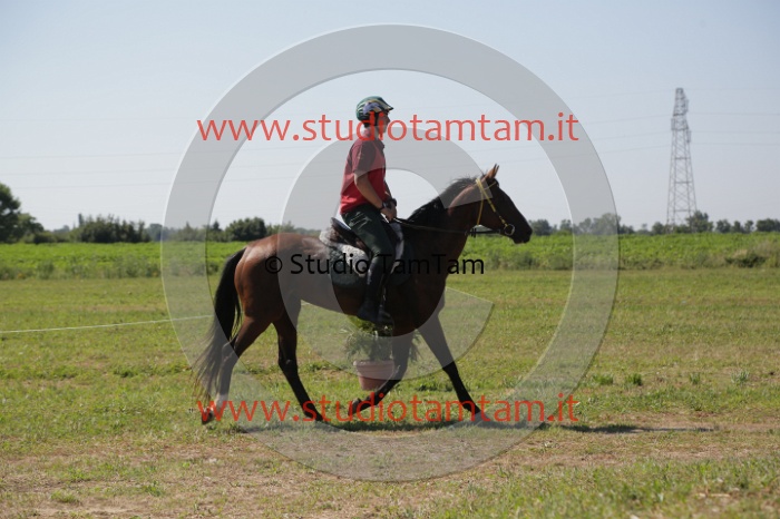 MAT_3908.JPG