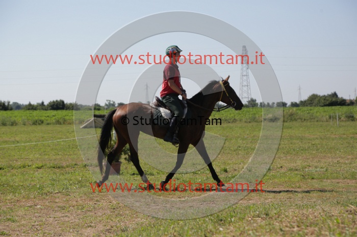 MAT_3909.JPG
