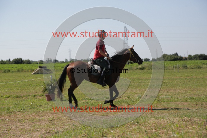 MAT_3910.JPG