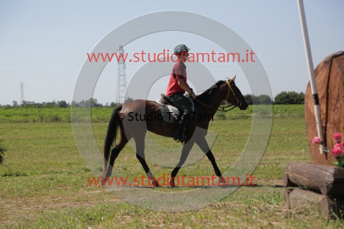 MAT_3912.JPG