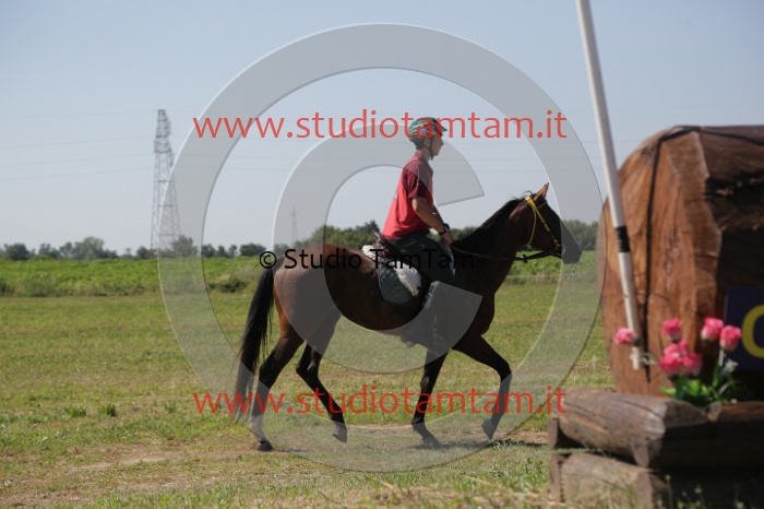 MAT_3913.JPG