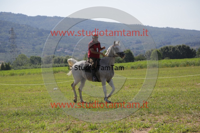 MAT_3916.JPG