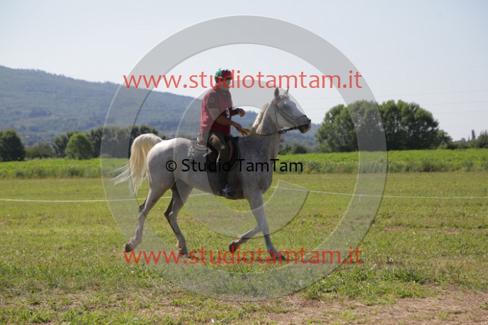 MAT_3919.JPG