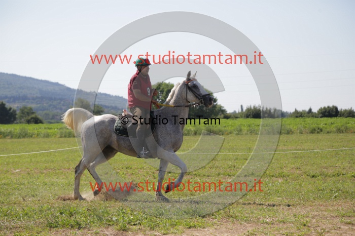 MAT_3920.JPG