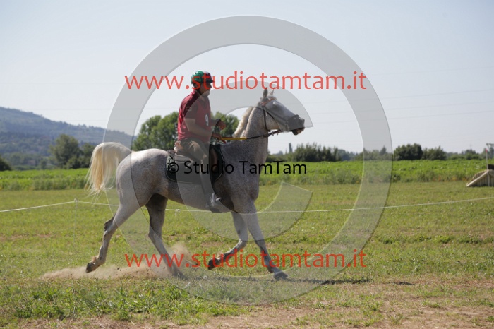MAT_3921.JPG