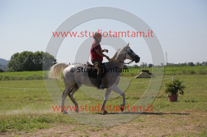 MAT_3922.JPG