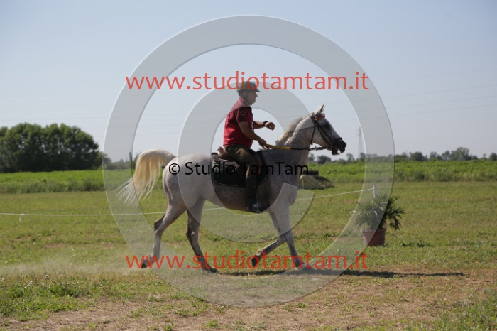 MAT_3923.JPG