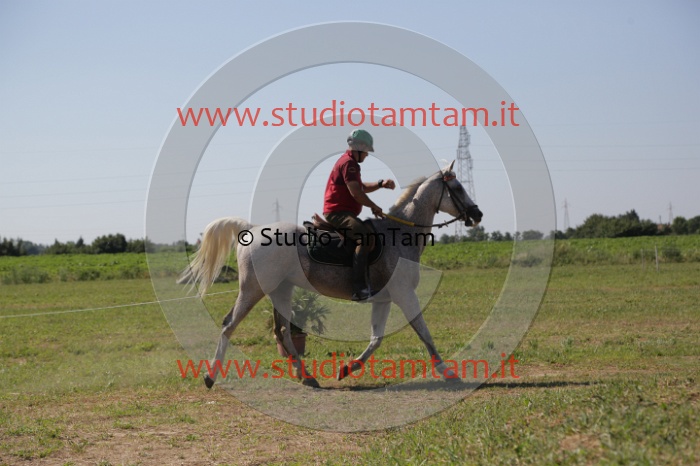 MAT_3925.JPG