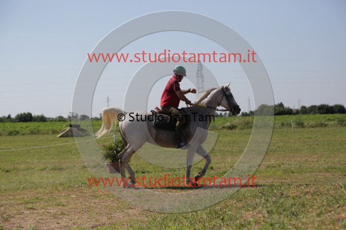 MAT_3926.JPG