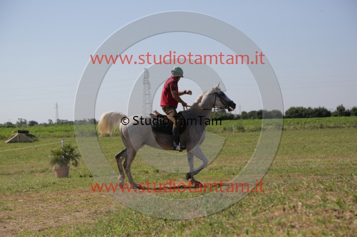 MAT_3927.JPG