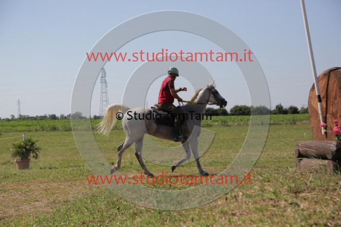 MAT_3928.JPG