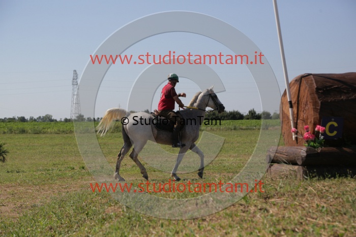 MAT_3929.JPG