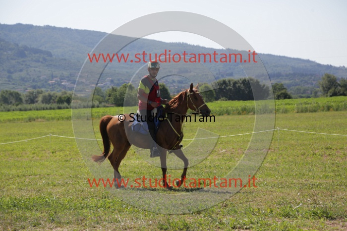 MAT_3932.JPG