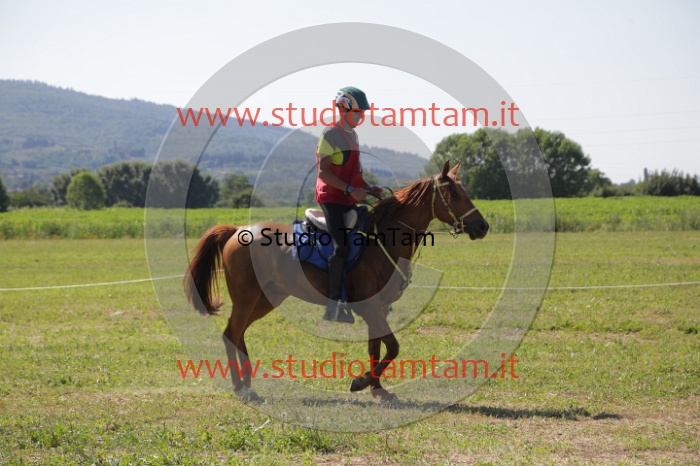 MAT_3935.JPG