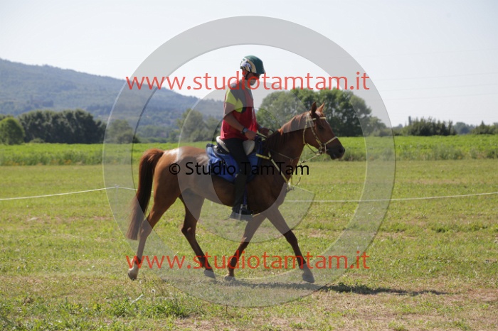 MAT_3936.JPG