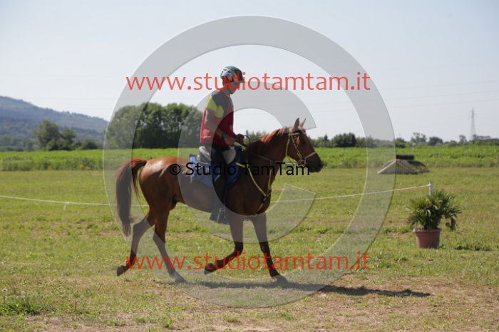 MAT_3938.JPG