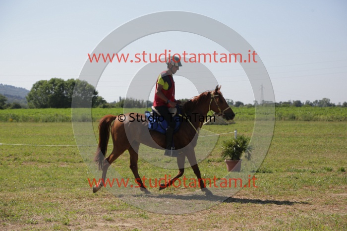 MAT_3939.JPG