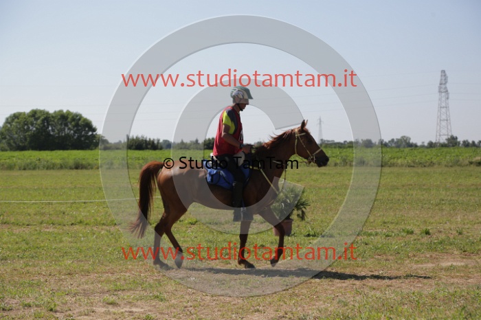 MAT_3940.JPG