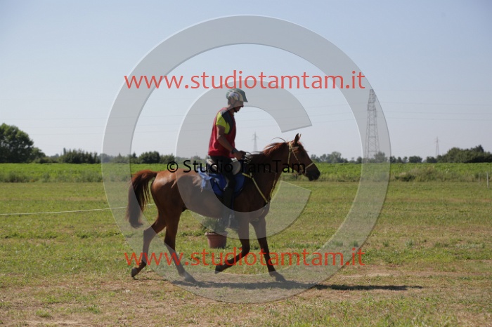 MAT_3941.JPG