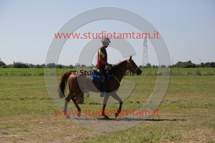 MAT_3942.JPG