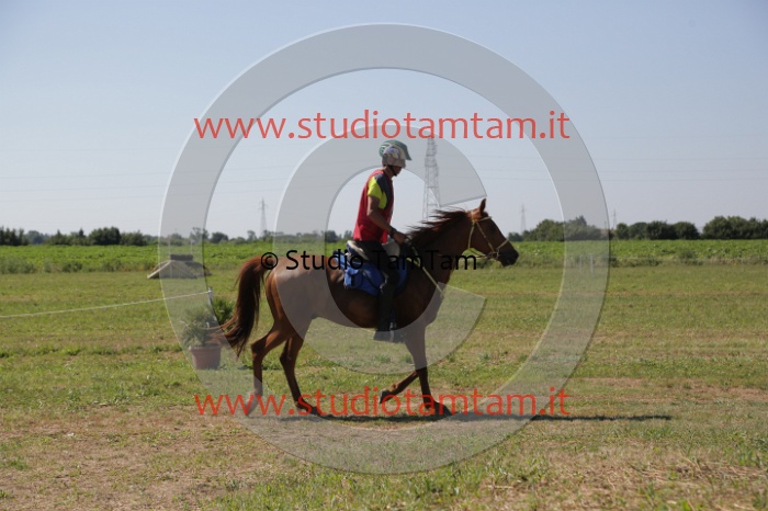 MAT_3943.JPG