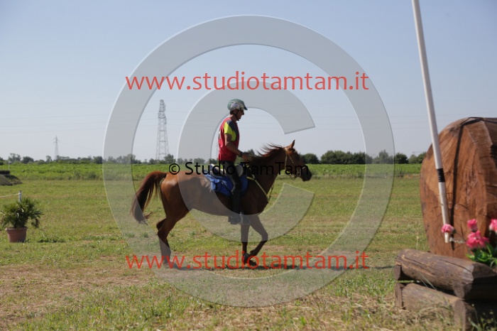 MAT_3945.JPG