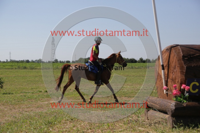 MAT_3946.JPG