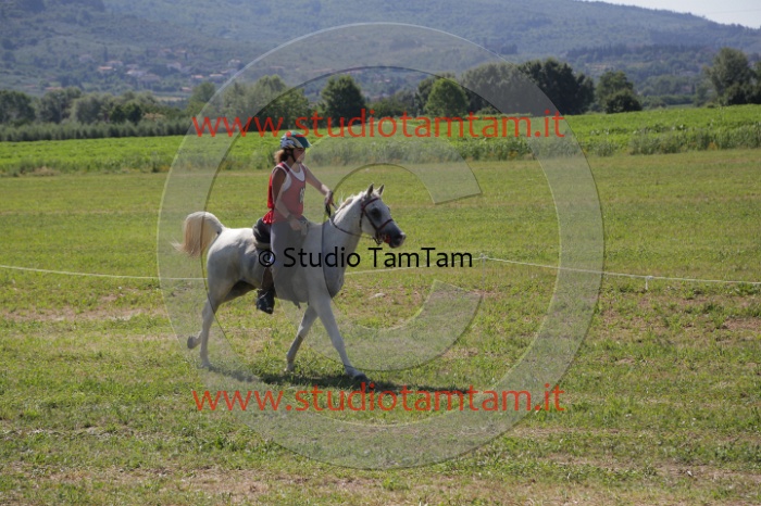 MAT_3950.JPG