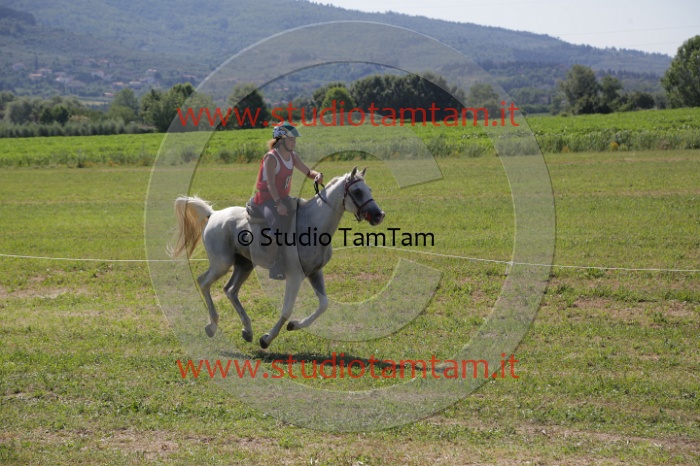 MAT_3951.JPG