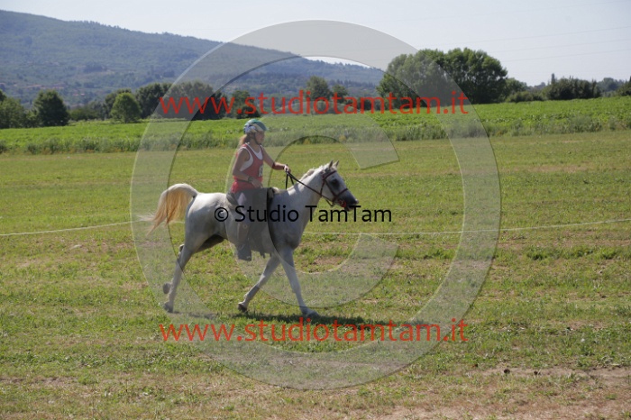 MAT_3952.JPG