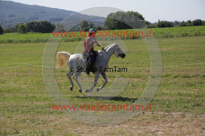 MAT_3953.JPG
