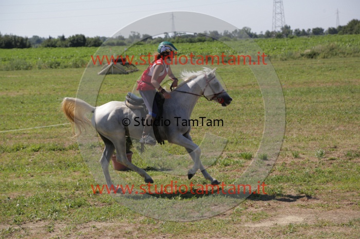 MAT_3956.JPG