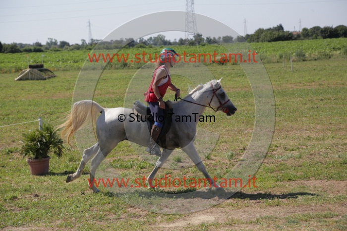 MAT_3957.JPG